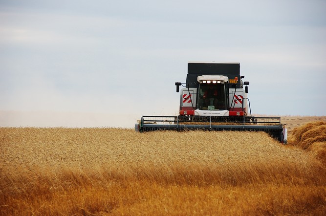 Программа "Знак земли" (от 21.10.2021)