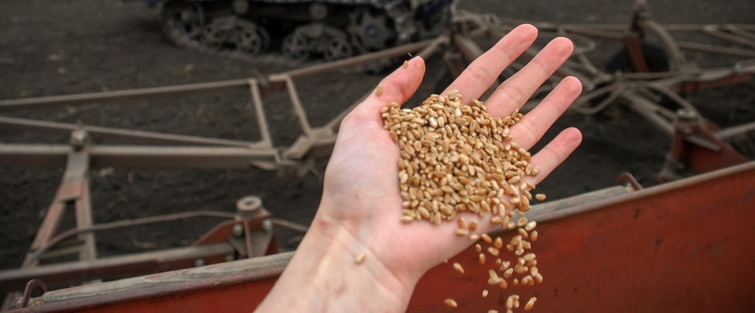 Программа "Знак земли": о ходе уборочной и режиме чрезвычайной ситуации в крае