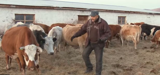 Программа "О хлебе насущном" (04.12.2021)