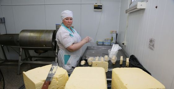 От поля до прилавка: фермеры Красноярского края получат гранты на производство молочной и мясной продукции