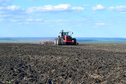 Растениеводы Красноярского края получат поддержку на проведение полевых работ