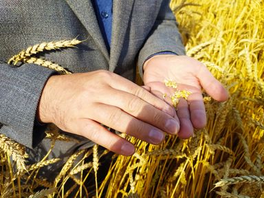 В агропромышленном комплексе Красноярского края трудятся более 28 тысяч человек