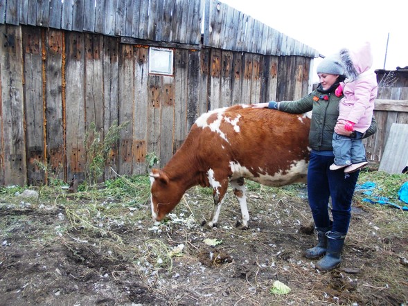 В Красноярском крае многодетные семьи получат дополнительную поддержку на развитие подсобных хозяйств
