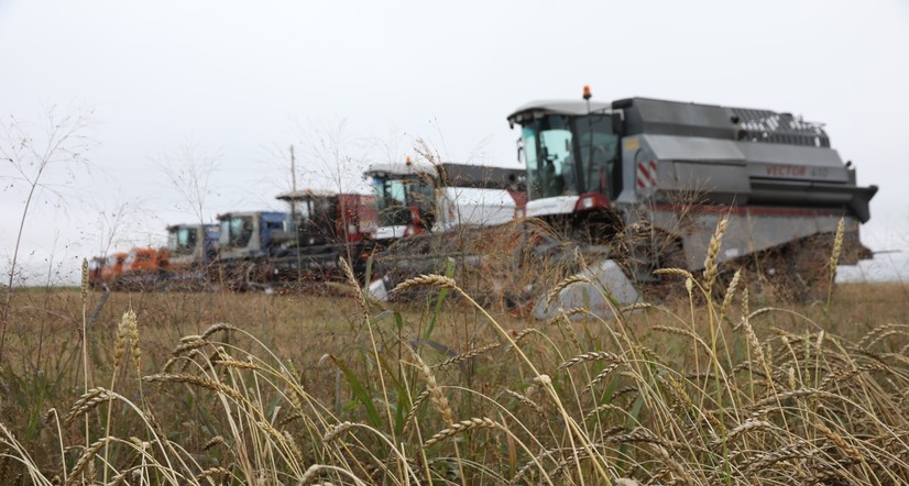 Земледельцы Красноярского края засыпали в закрома более двух миллионов тонн зерна