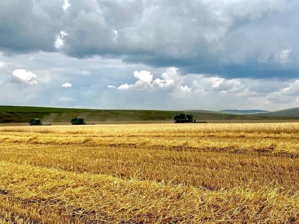 Михаил Котюков: В регионе есть все необходимое, чтобы масштабировать применение беспилотников в сельском хозяйстве