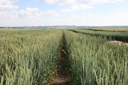 Программа "Знак земли" (18.08.2022)