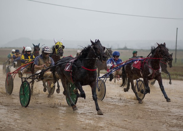 Лучших сельских конников Красноярского края наградили автомобилями