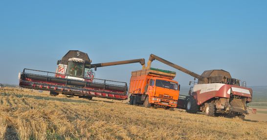 Аграриям Красноярского края возместили затраты на урожай зерновых прошлого года