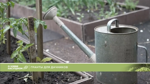 Гранты для дачников