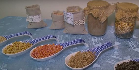 Программа "О хлебе насущном": Студенты пищевого института пробуют делать пармезан и хлеб с борщом