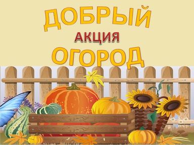 Жителей Красноярского края приглашают принять участие в агроволонтерской акции «Добрый огород»