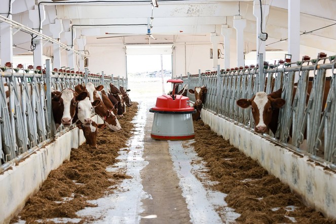 Агропромышленные предприятия края получат господдержку на реализацию инвестпроектов