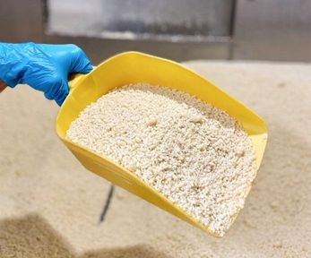 Красноярский край впервые за пять лет экспортировал за рубеж казеин