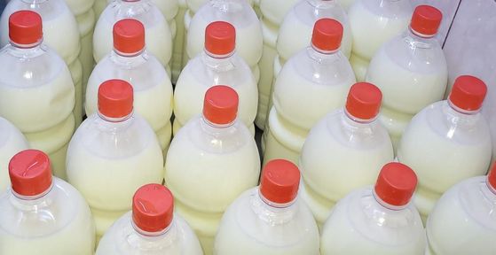 Фермеры Красноярского края получат гранты на производство продуктов