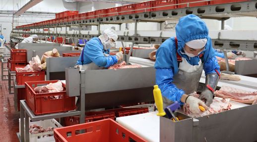 На свинокомплексе Красноярского края запустили линию вакуумной упаковки