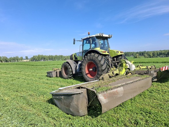 В Красноярском крае семейные фермы получат финансовую поддержку на развитие своего дела
