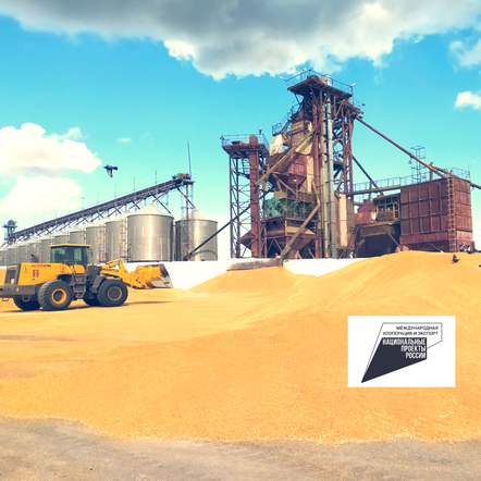 Красноярский край экспортировал продукции АПК на 19,6 миллиона долларов