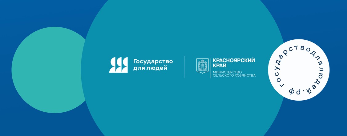 Господдержка онлайн: для аграриев в Красноярском крае внедрили цифровой сервис