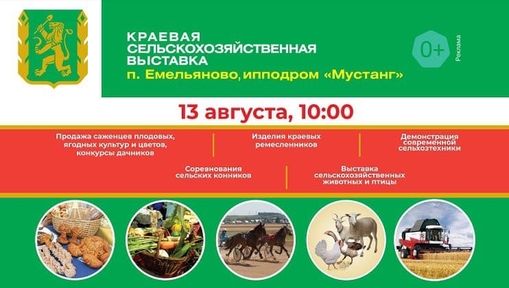 Цветы и саженцы, сельхозживотные, состязания конников и аграрная техника: в Красноярском крае пройдёт День поля