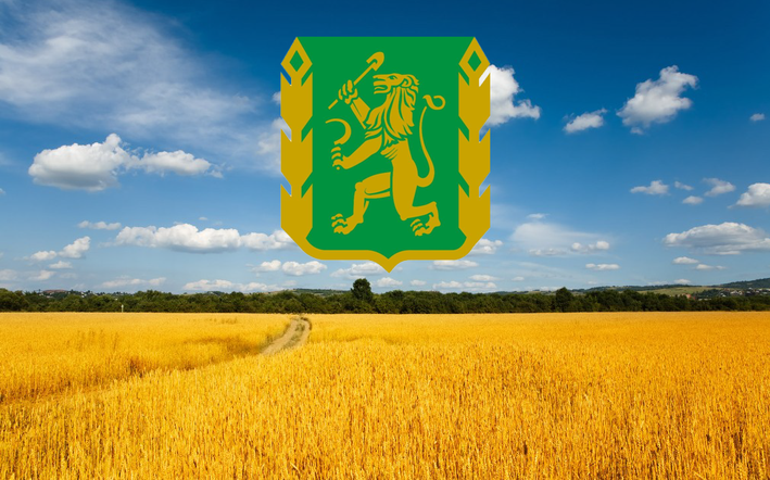 В Емельяново состоятся краевые соревнования сельских конников и выставка мелкого рогатого скота