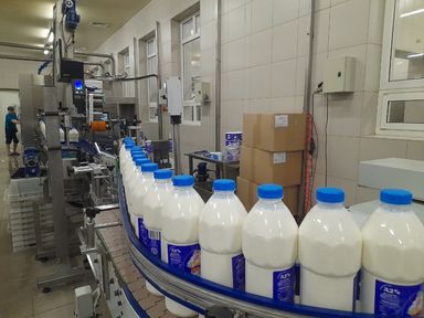 Предприятиям агропромышленного комплекса Красноярского края возместят часть затрат на переработку молока