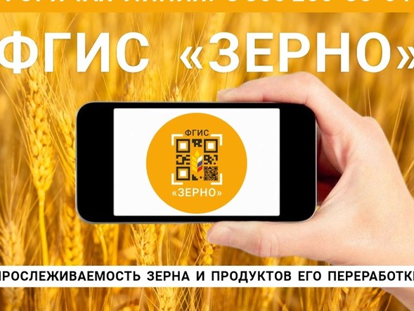 Внесение данных во ФГИС «Зерно» будет обязательным с 1 сентября