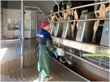 О хлебе насущном (Телеканал "Енисей", 25.04.2020)