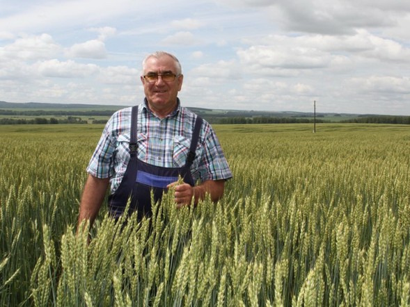 В Красноярском крае пройдут зональные семинары по предоставлению поддержки малым формам хозяйствования