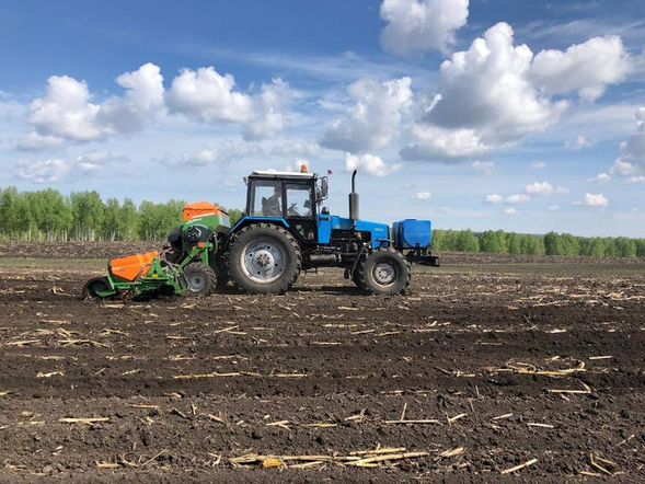 В Красноярском крае зерновыми засеяли 80 процентов пашни