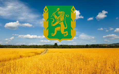 В Красноярском крае состоится региональная сельскохозяйственная выставка День поля