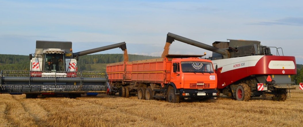 Земледельцы Красноярского края начали убирать зерновые культуры