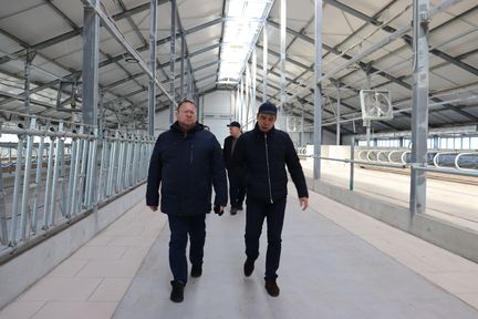 Модернизация АПК: животноводческие комплексы на юге Красноярского края увеличивают мощности