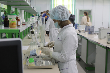 Краевым аграриям возместят затраты на оплату труда и проживания студентов-практикантов