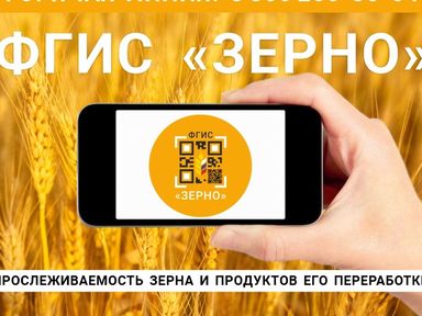 Внесение данных во ФГИС «Зерно» будет обязательным с 1 сентября