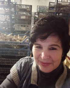 Фермеры Красноярского края получили гранты «Агростартап» на 60 миллионов рублей