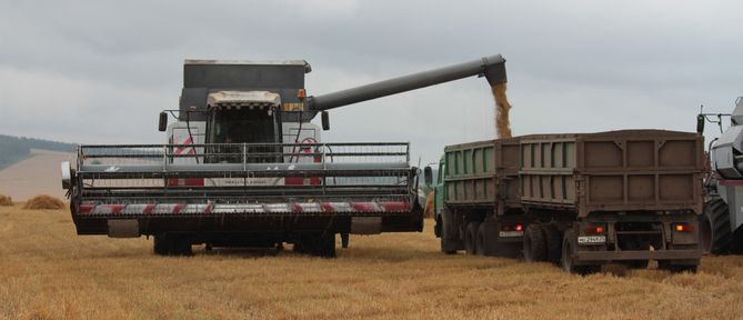 Земледельцы Красноярского края собрали первый миллион тонн зерна